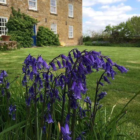 Cotswolds Mine Hill House Bed and Breakfast Lower Brailes Exteriör bild