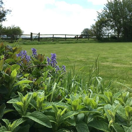 Cotswolds Mine Hill House Bed and Breakfast Lower Brailes Exteriör bild