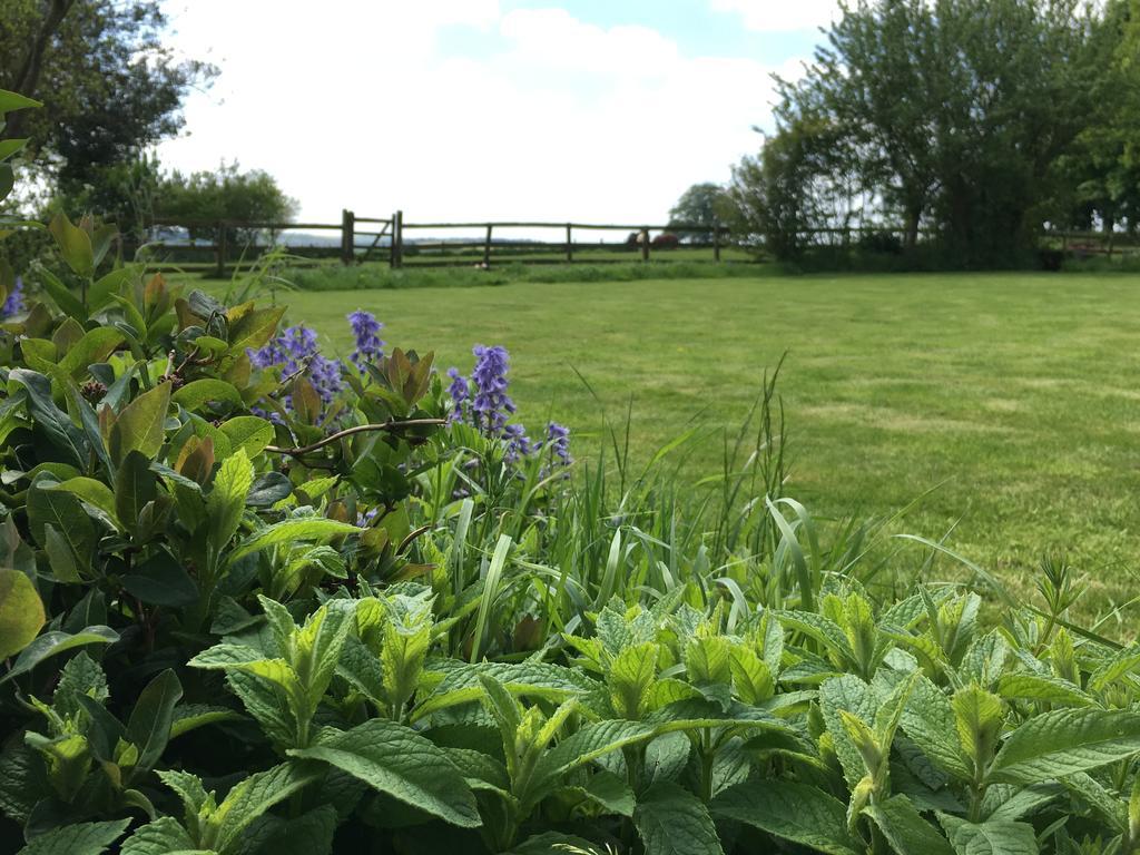 Cotswolds Mine Hill House Bed and Breakfast Lower Brailes Exteriör bild